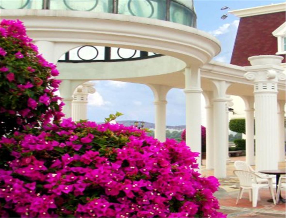 Clifford Golden Lake Hotel Foshan Esterno foto